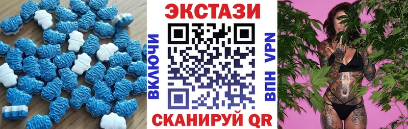 дарнет шоп  Карачев  МЕГА как зайти  Ecstasy круглые 