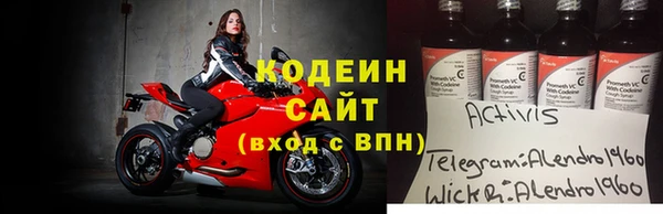 прущие грибы Алзамай