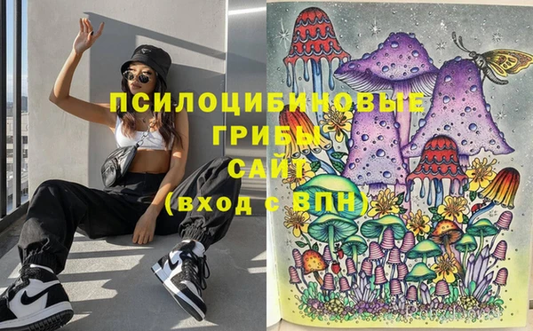 прущие грибы Алексин