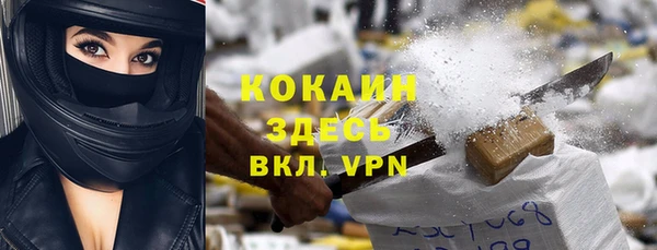 прущие грибы Алексин